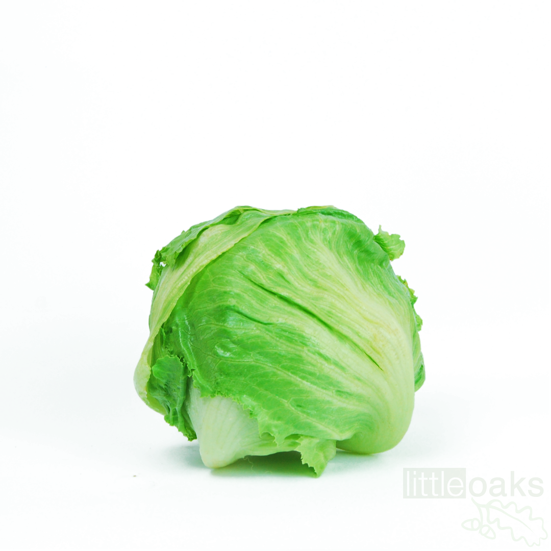 Lettuce