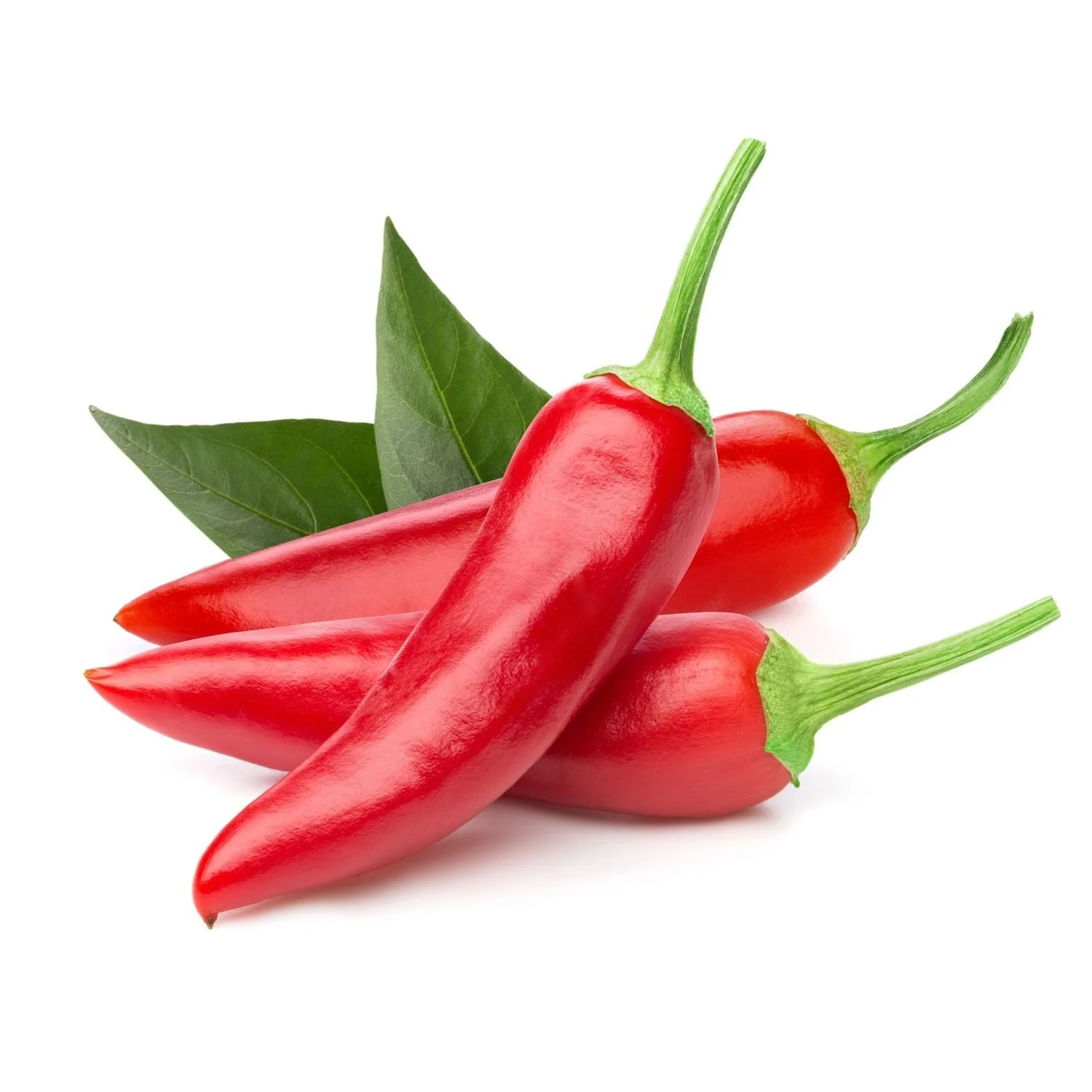 Red Chilli